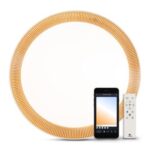 Plafoniera Smart Gold Ring 36W 3000K-6500K IP20, PULSAR - imagine 4